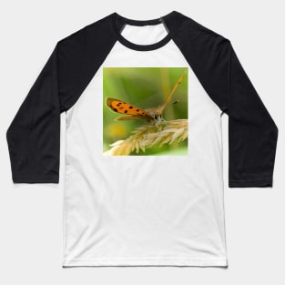 A FLUTTER ON GRASS Baseball T-Shirt